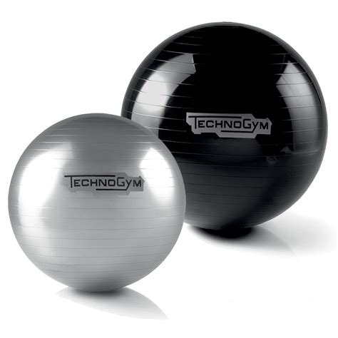 technogym fitness ball.